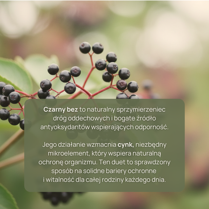 Berroxin® Immuno Family: syrop z czarnego bzu i aronii